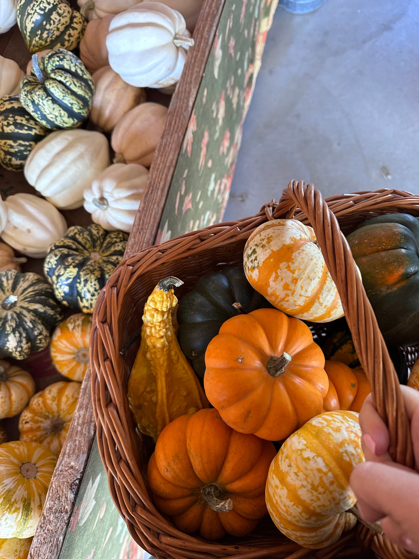 Fall Fest Package #3