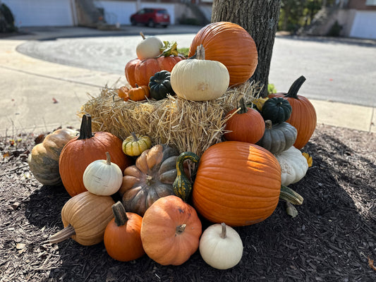 Autumn Luxe Package #2