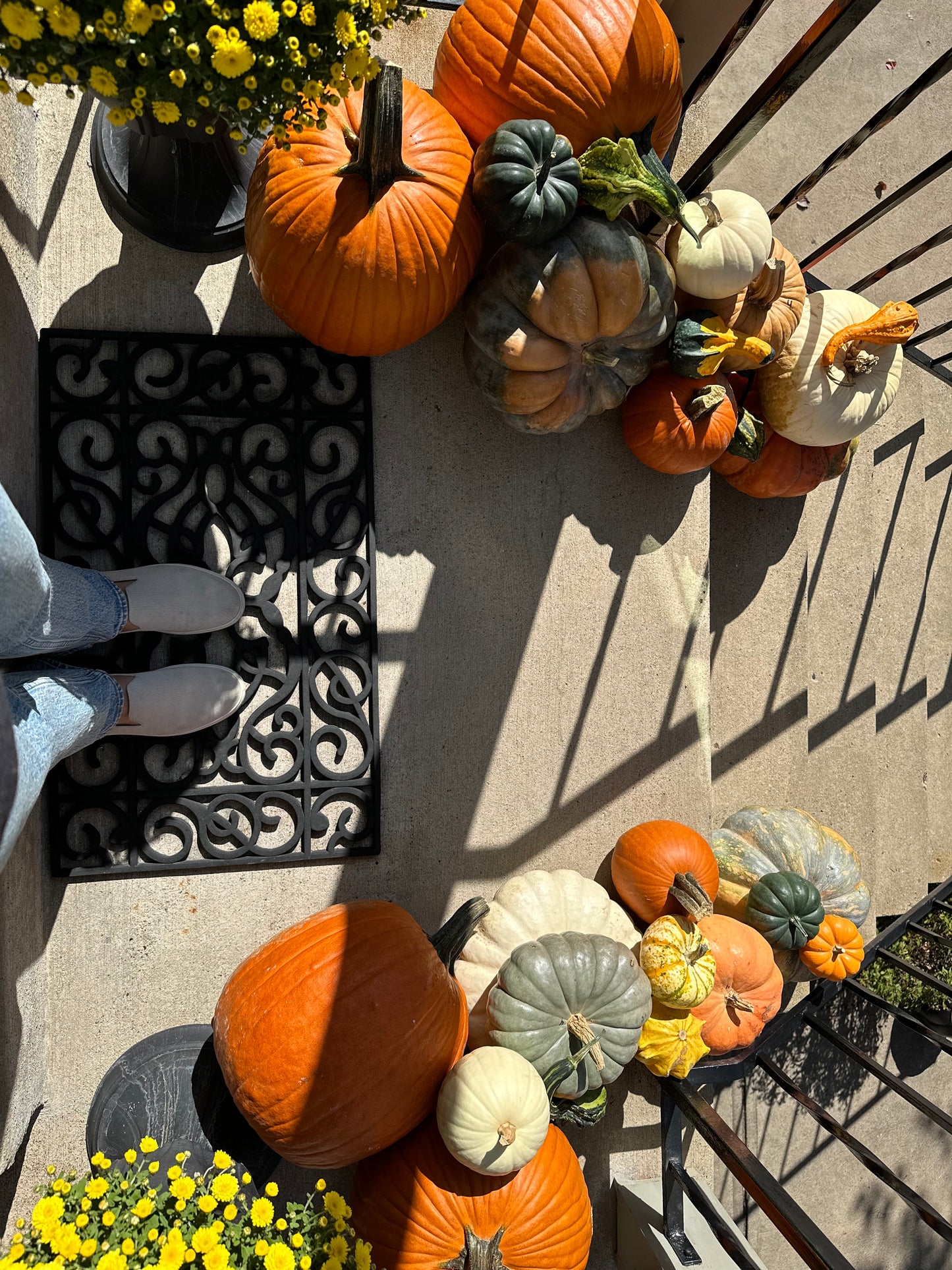 A Touch of Fall Package #4