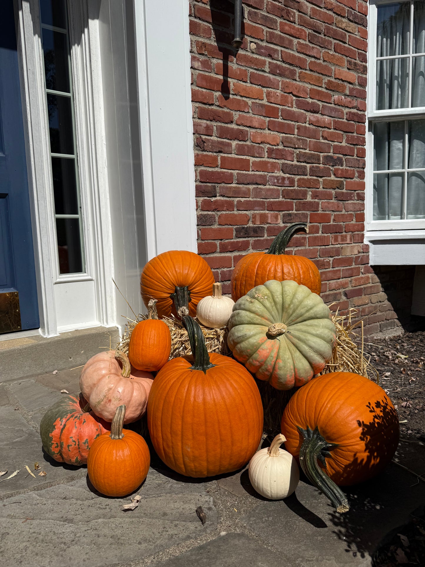 Package 1: Fall Classic