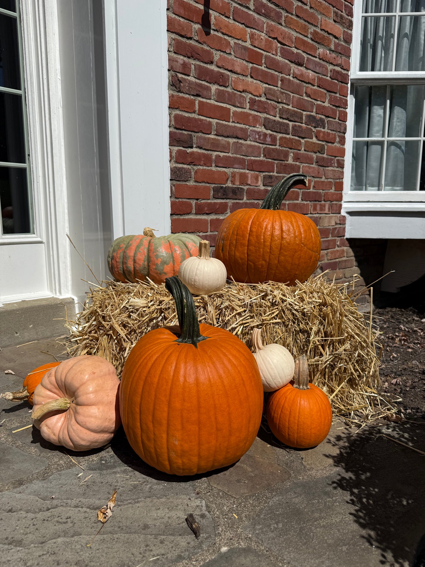 Package 3: Fall Harvest