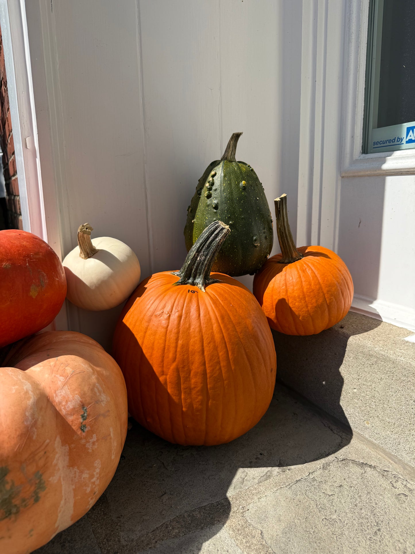 Package 1: Fall Classic